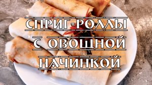 Спринг-роллы с овощной начинкой