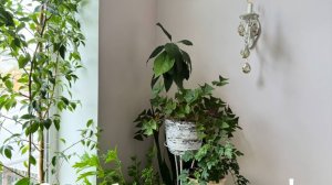 Текстильное кашпо. Шитье из полос. Из бельевой верёвки шьём кашпо.