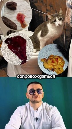 Кровавая диарея