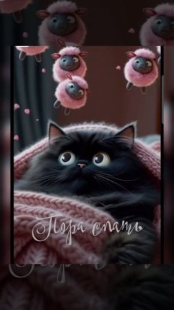 Доброй ночи #добройночи