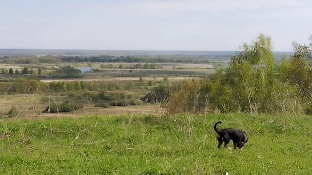 Люблю смотреть на наши озера и нашу реку