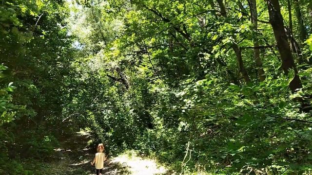 Чем дальше в лес... смотреть онлайн