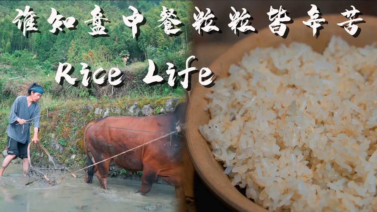 Rice Life： Who Knows That Every Grain on the Dining Table Comes from the Hard Work смотреть онлайн