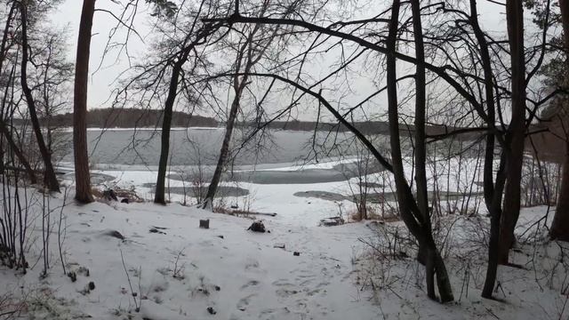 Первый снежок. 13.11.2021 г. смотреть онлайн