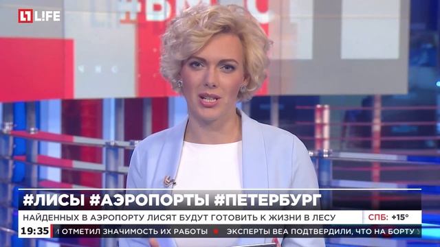 Сороколат Богдан смотреть онлайн