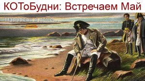 КОТоБУДНИ: Встречаем Май, снег, витютень.., а вы знаете, почему Наполеон сел в лужу?