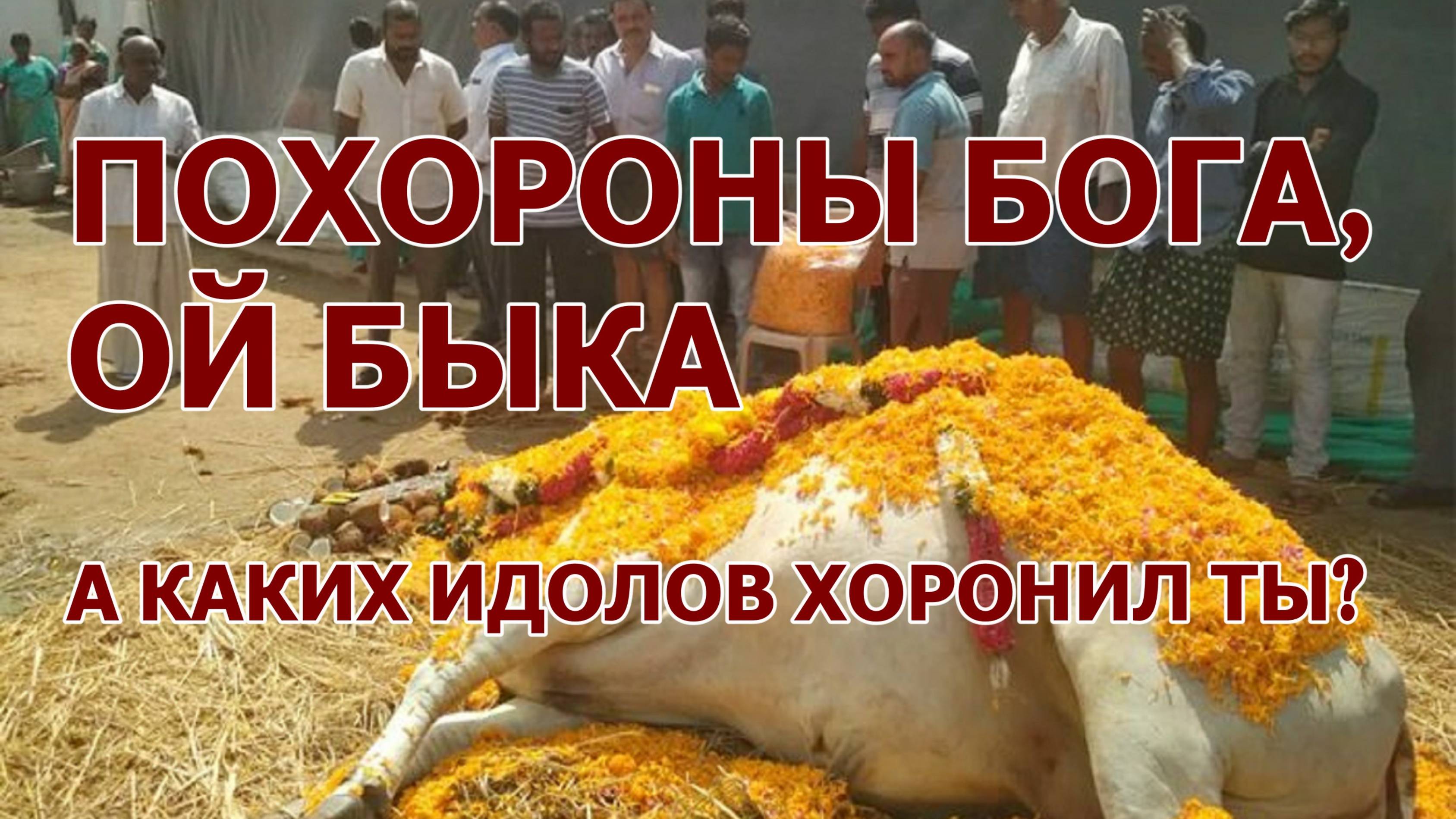 Похороны бога, ой быка / А какие идолы в твоей жизни?