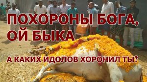 Похороны бога, ой быка / А какие идолы в твоей жизни?