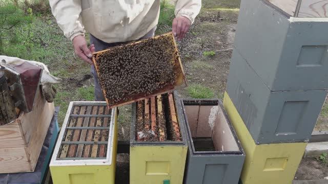 ЕСЛИ СЕМЬЯ ВОШЛА В РОЕВОЕ СОСТОЯНИЕ !!! смотреть онлайн