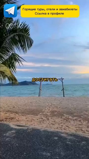 НИКОГДА НЕ ДЕЛАЙ ЭТО В ТАИЛАНДЕ смотреть онлайн