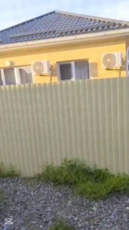 Краснодарка жалуется на соседского петуха, который будит её ни свет ни заря своим кукареканием.