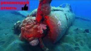 Австралия и Океания