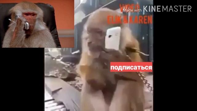 Кроссовки потерялся