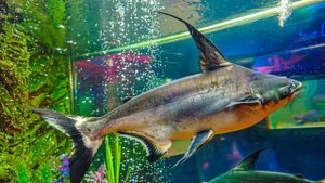 г.Краснодар. Развлекательный центр.