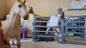 Мы снова вместе!!!!