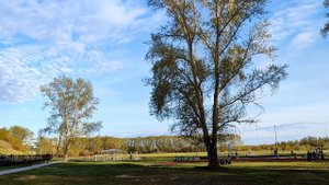 ПОЧИСТИЛИ, ПРОГУЛЯЛИСЬ/НАЖАРИЛА🥞 ОЛАДЬИ 👏