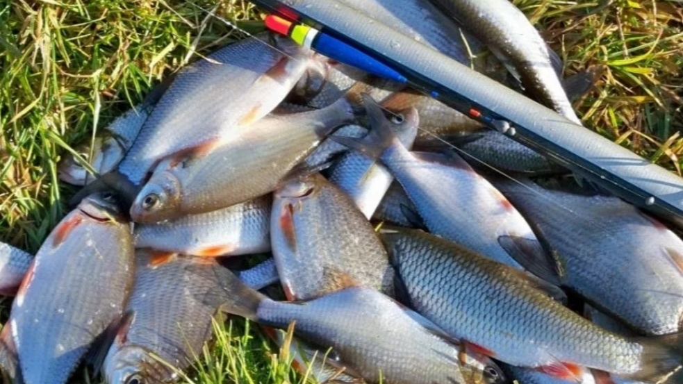 Тайны успешной рыбалки на удочку-что нужно знать каждому рыбаку? смотреть онлайн