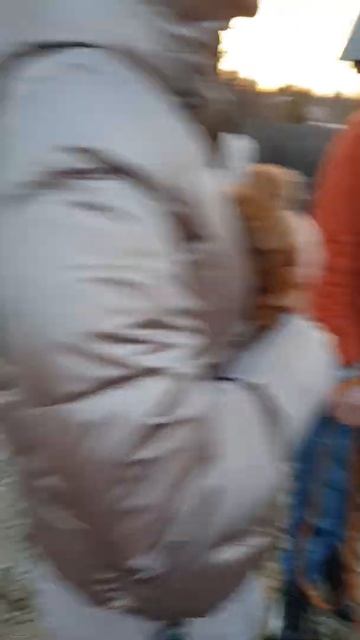 Лиса и Кролик))) смотреть онлайн