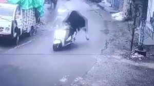 В Индии бык попытался угнать скутер, проехался на нём несколько метров, врезался и ушёл 

Спасибо за