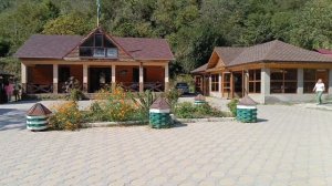 АБХАЗИЯ 🆎 . ГОРНАЯ ПАСЕКА ГУДАУТСКОГО РАЙОНА