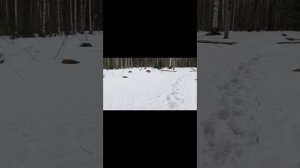 1 мая Перунова гора 2025