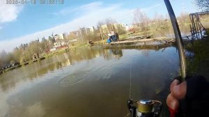 Весна 2025 в Светлых Горах часть 2