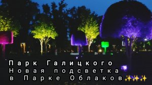 Новая подсветка появилась в Парке Облаков парка Галицкого. Теперь здесь как в сказке.