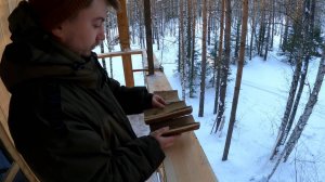 Лесные - построил дом на дереве. Смог наладить быт. Секреты уютного дома на дереве