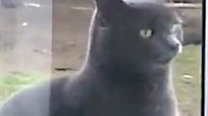 Саня, ОТКРОЙ ДВЕРЬ!