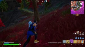 Fortnite что происходит за кадром (топ 1)