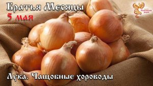 Братья месяцы 5 мая - Лука. Чащобные хороводы