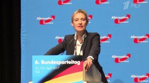В ФРГ кипят страсти вокруг партии "Альтернатива для Германии"