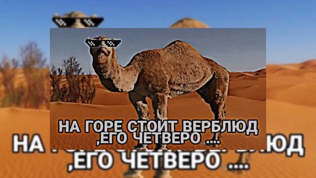 НА ГОРЕ СТОИТ ВЕРБЛЮД (speed up) смотреть онлайн