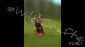 II Эволюция WildCraft II