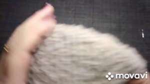 отчёт по с.п ,,на ВС голову"архив🤗