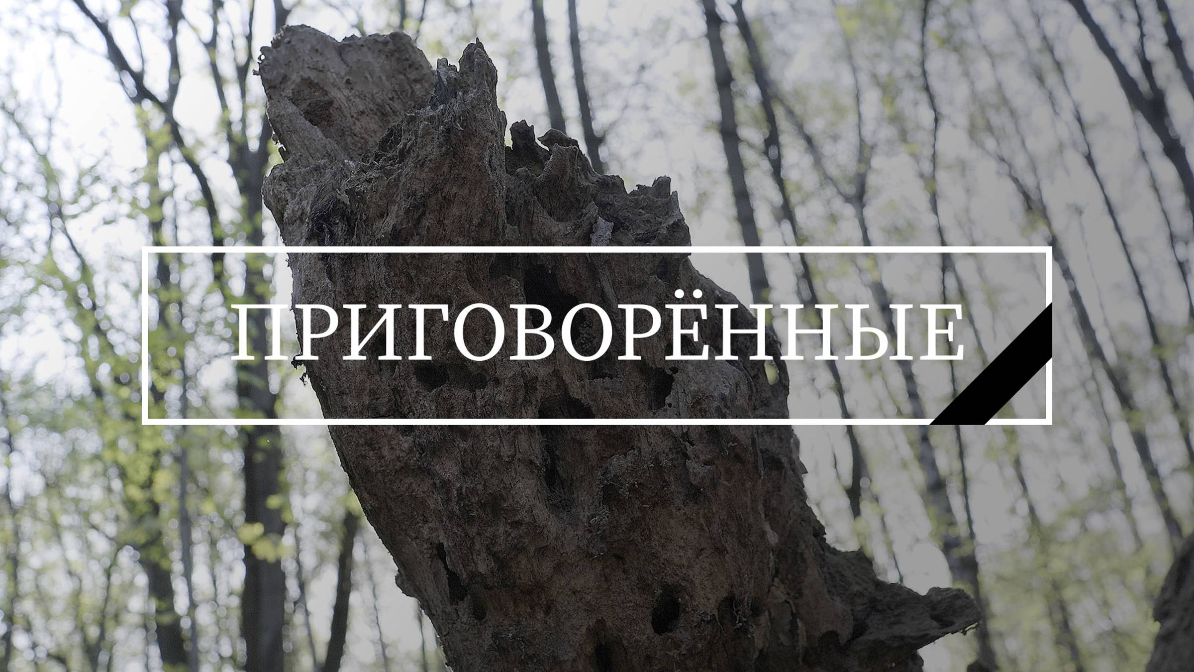 Приговоренные I короткометражный фильм