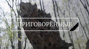 Приговоренные I короткометражный фильм