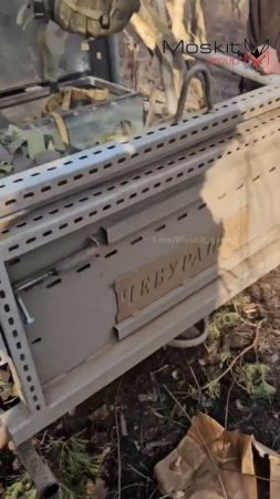 Жизнь в СВО