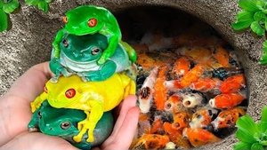 Удивительный улов Разноцветных Лягушек В Пещере, Пластинчатых Рыб, Золотых Рыбок, Стеклянных Рыбок,