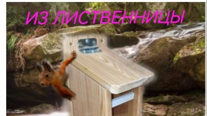 Кормушка для белок из Лиственницы.
