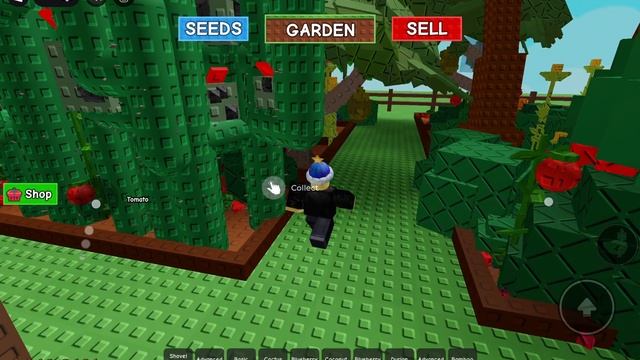 играю в популярные игры роблок