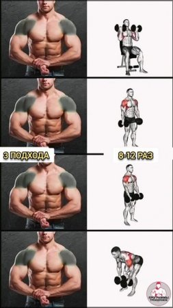 Тренировка плечи🔥