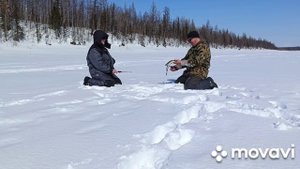 супер рыбалка на ХАРИУСА