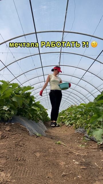 О чём Мечтаем?!  ) #танцы #танцорка