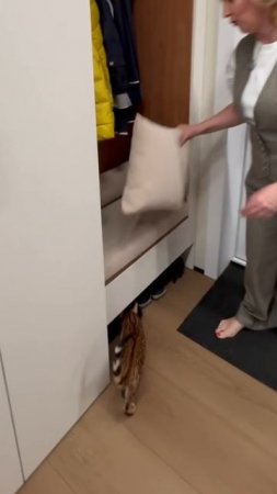 Не только наши заказчики, но и их любимцы участвуют в рабочем процессе 🥰