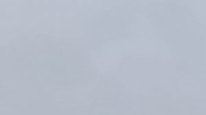 Свердловские голуби 3 мая 2025
Увеличение на 6.