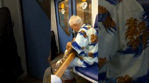 Гусляр в подмосковной электричке | Лебеди