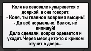 Как Коля Доярке Засадил! Сборник Свежих Анекдотов! Юмор!