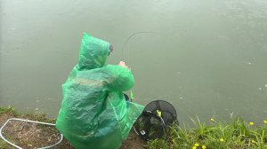 Поимки продолжаются 
04.05.2025