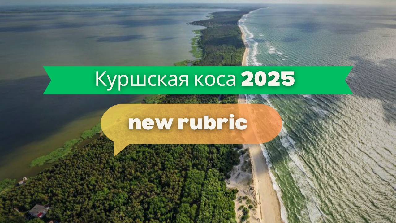 Куршская коса 2025 — прогулка между соснами и дюнами 🌲 Путешествие по уникальному заповеднику